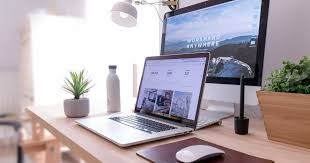 Pro Plan (Virtual Office)